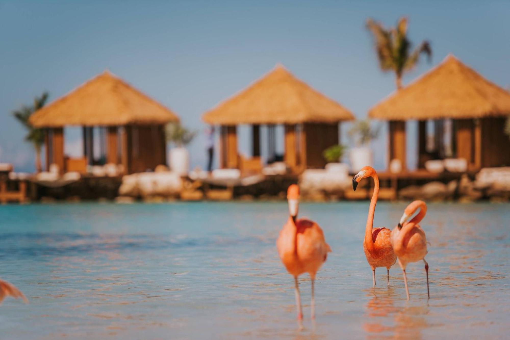 Renaissance Wind Creek Aruba Resort Oranjestad Esterno foto